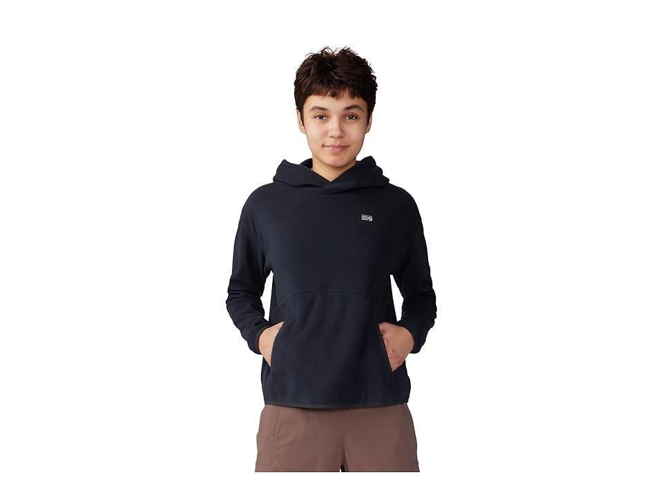 Mountain Hardwear Novelty Microchill Hoodie Women's Clothing product image