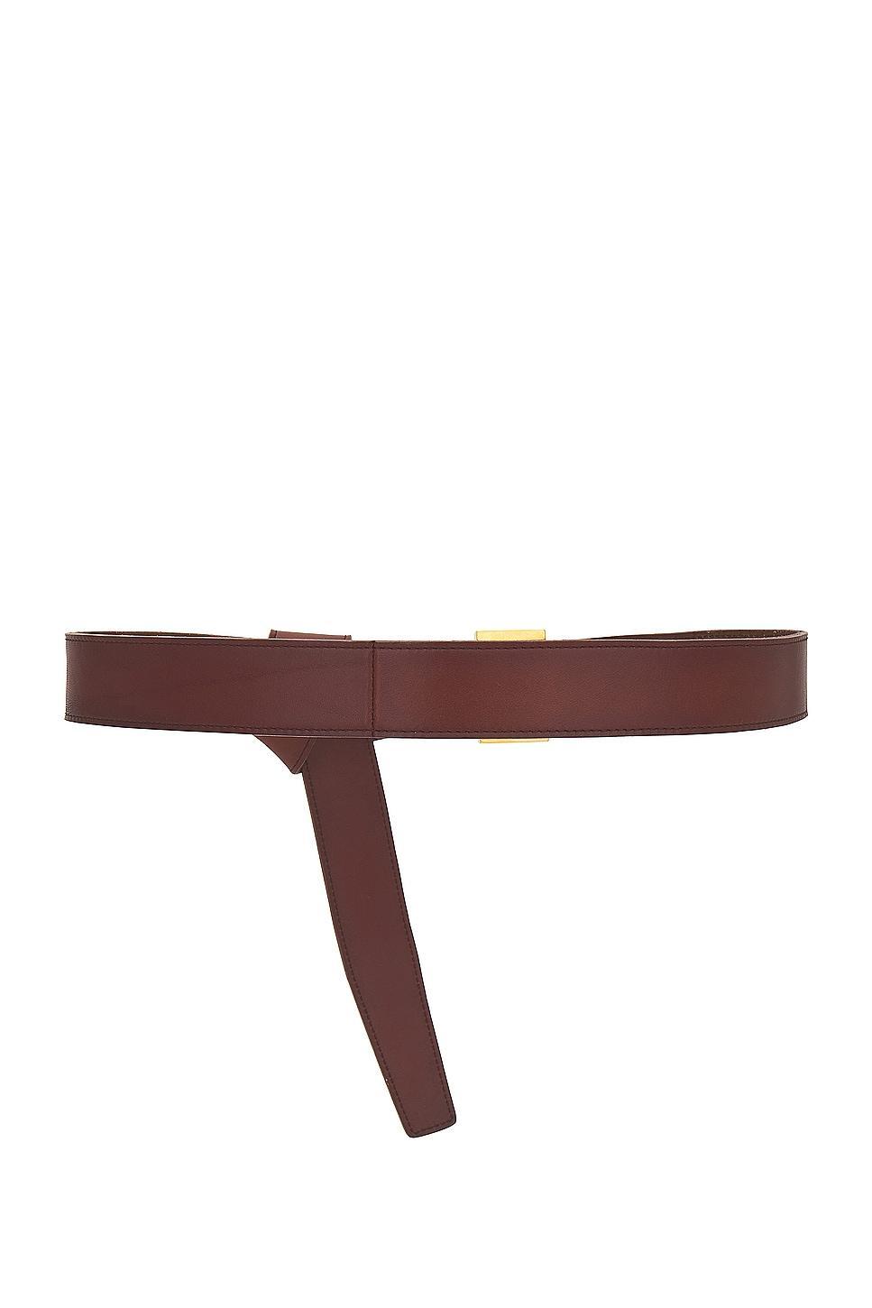 Saint Laurent Cassandre Long Belt in Brown Product Image