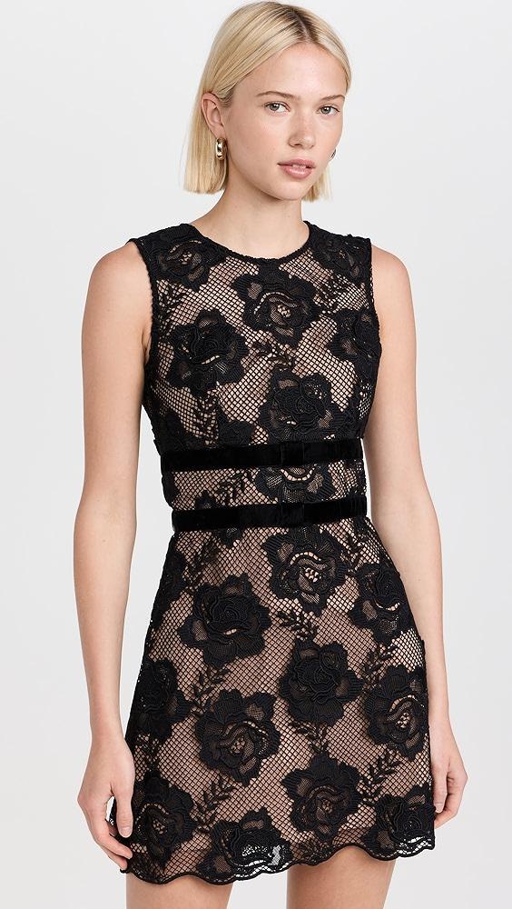 Self Portrait Black Lace Velvet Bow Mini Dress | Shopbop Product Image