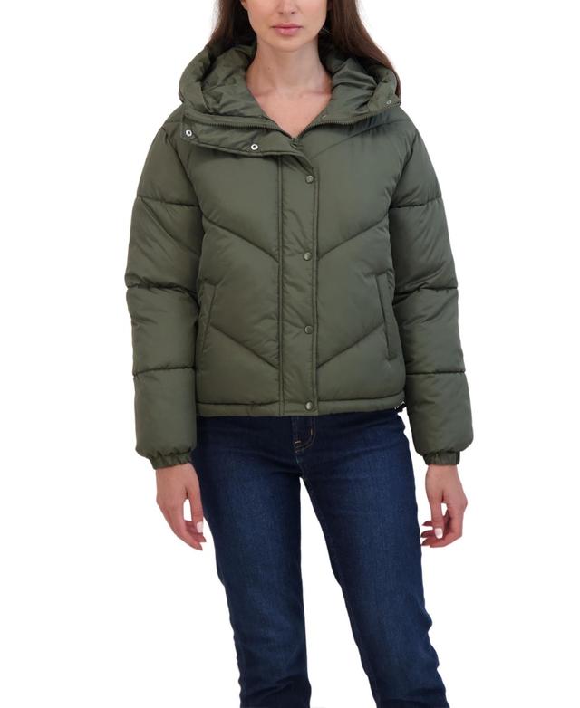 Sebby Juniors Women Short Hooded Puffer Jacket Product Image