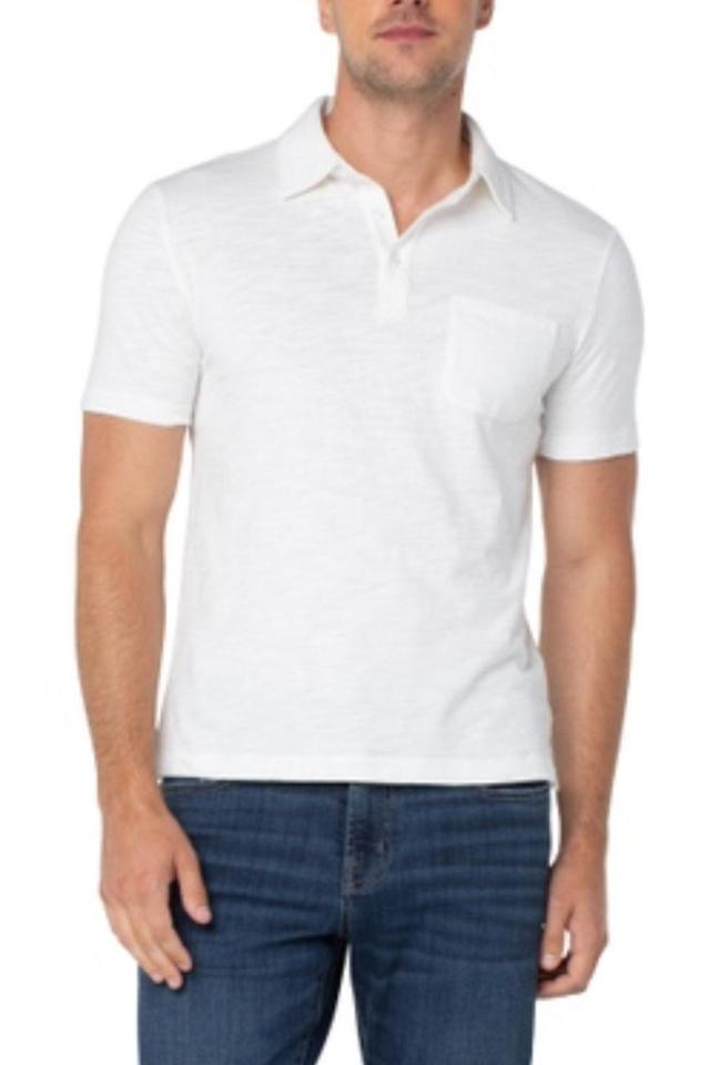 Short Sleeve Polo Male Product Image