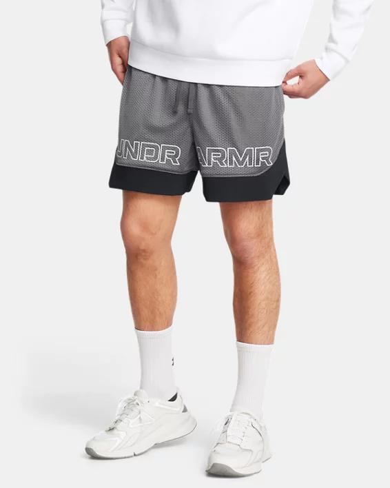 Mens UA Icon Mesh Shorts Product Image