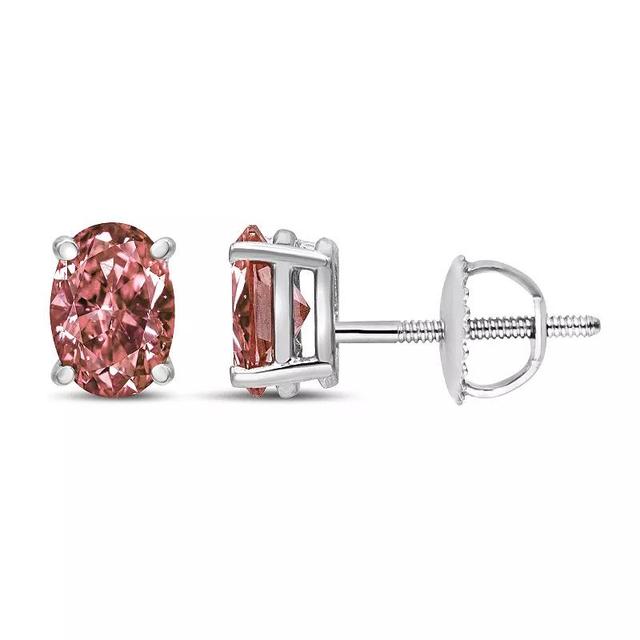 Haus of Brilliance 14k White Gold 1/2 Carat T.W. Lab-Grown Pink Diamond Solitaire Stud Earrings, Womens Product Image