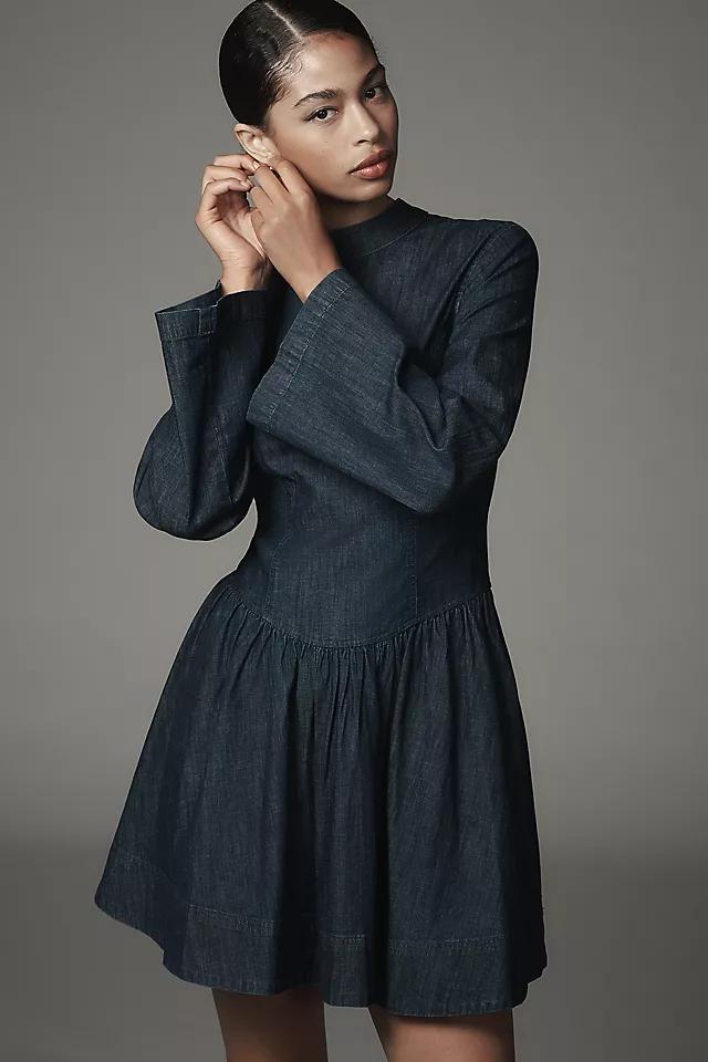 Porridge Long-Sleeve Denim Drop-Waist Mini Dress Product Image