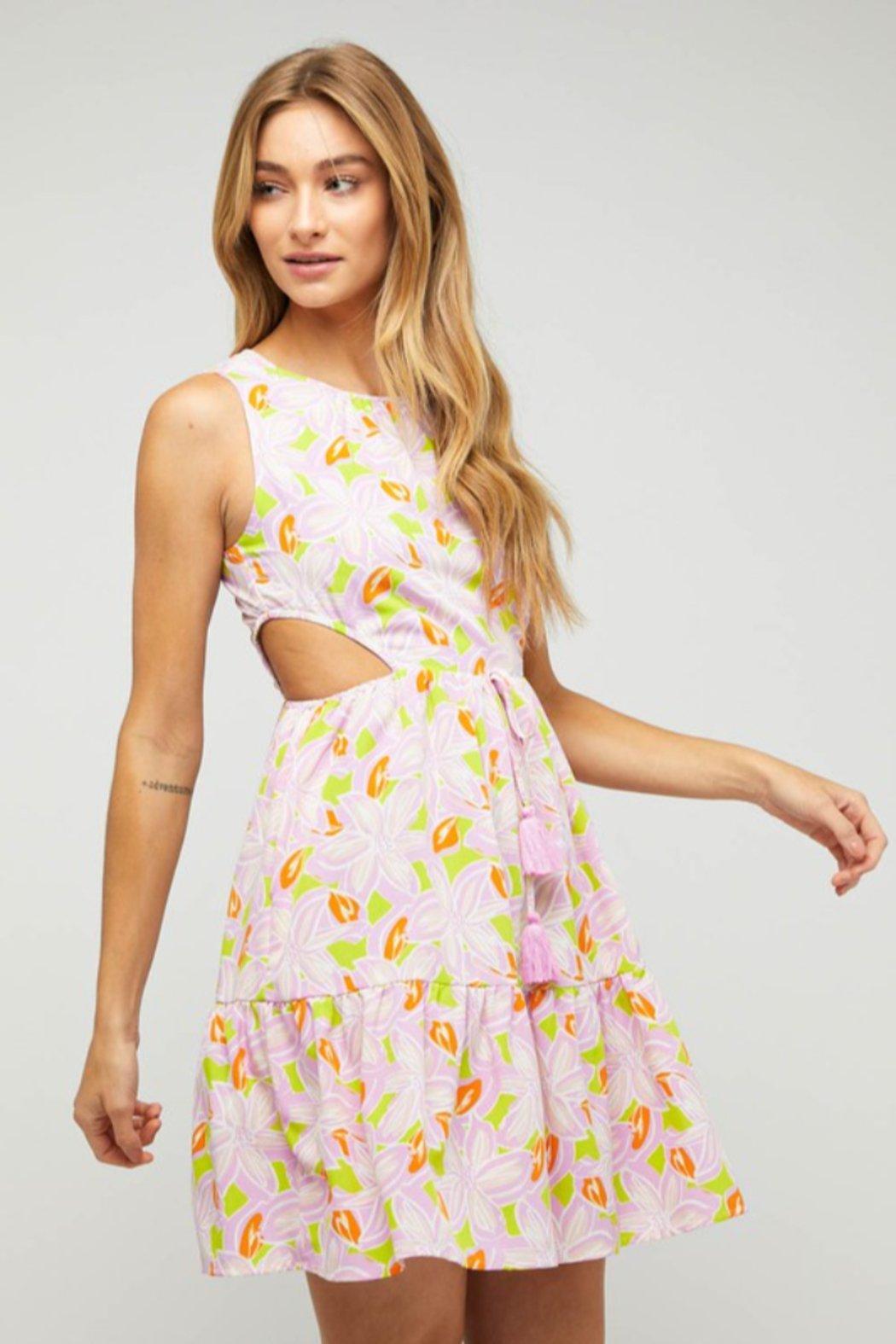 Vacay Vixen dress Product Image