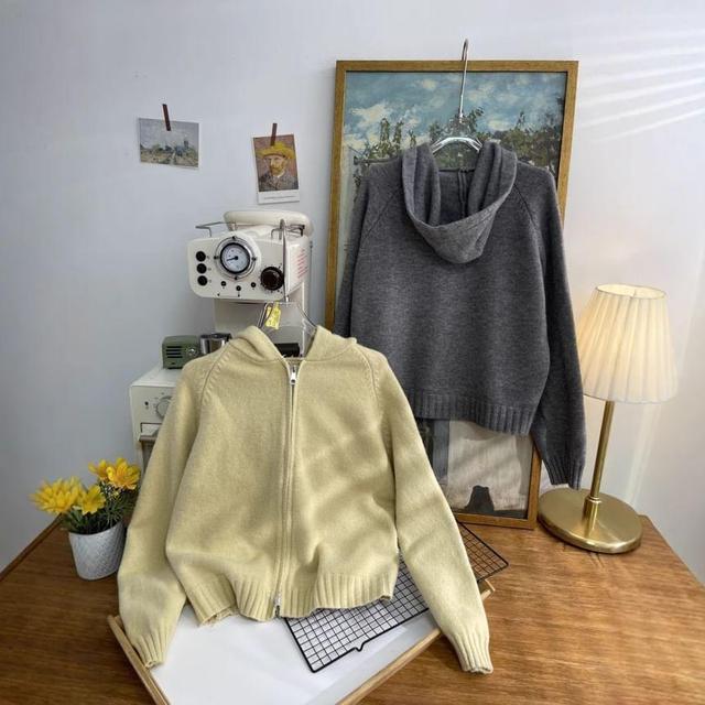 Hooded Plain Zip Up Cardigan Product Image