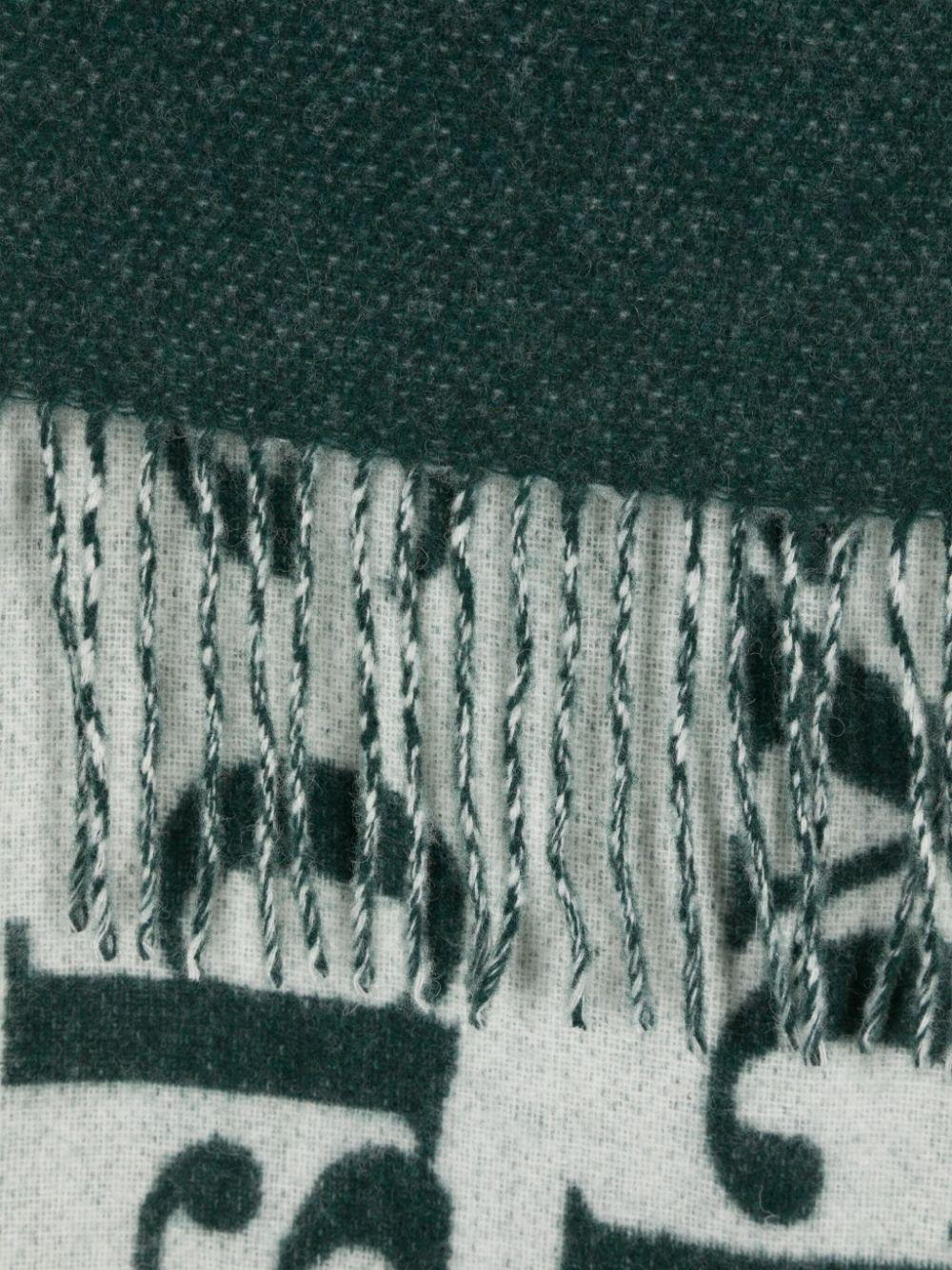 fringed wool scarf Product Image