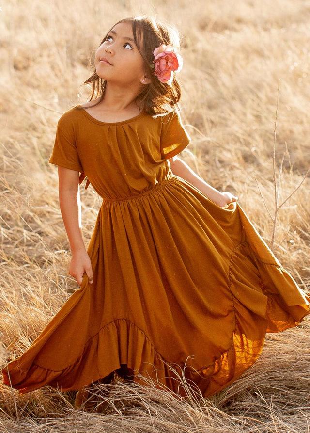 Braelyn Dress in Spice Product Image