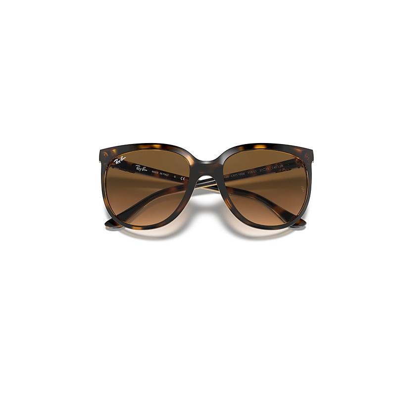 Ray-Ban Womens Retro Gradient Cat Eye Sunglasses Product Image