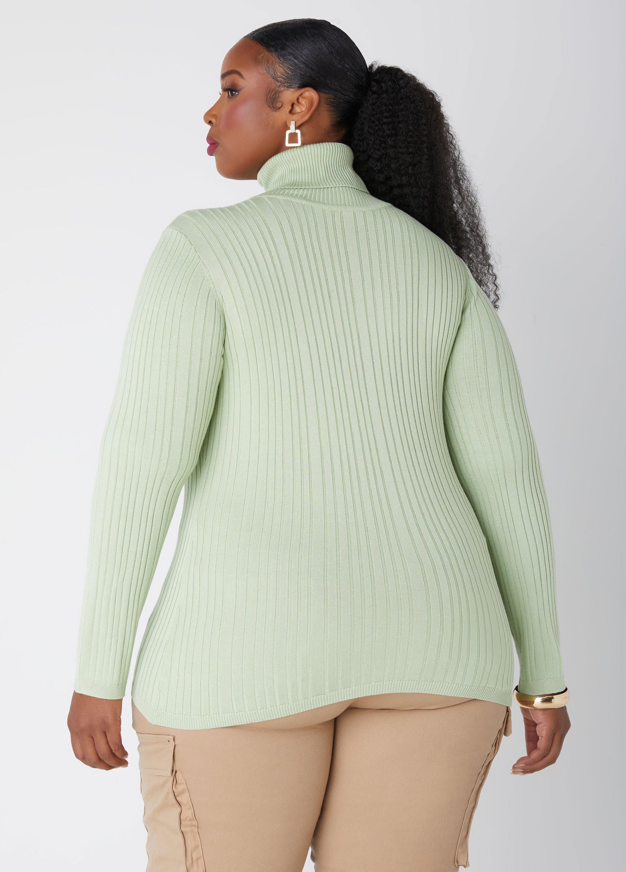 Ribbed Pullover Turtleneck Sweater Product Image