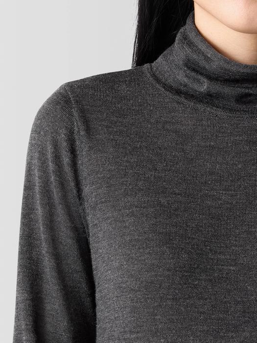 Fine Merino Turtleneck Top in Regenerative Wool Product Image