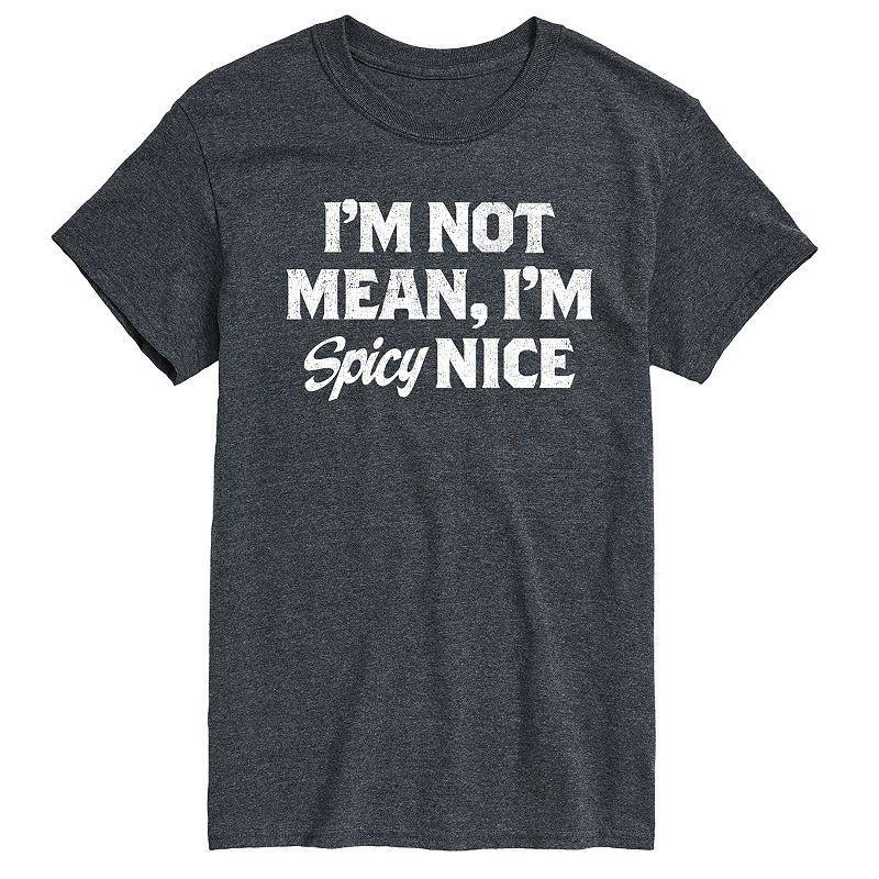 Mens Spicy Nice Graphic Tee Heather Grey Product Image