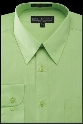 Basic Dress Shirt Regular Fit in Apple Green product image