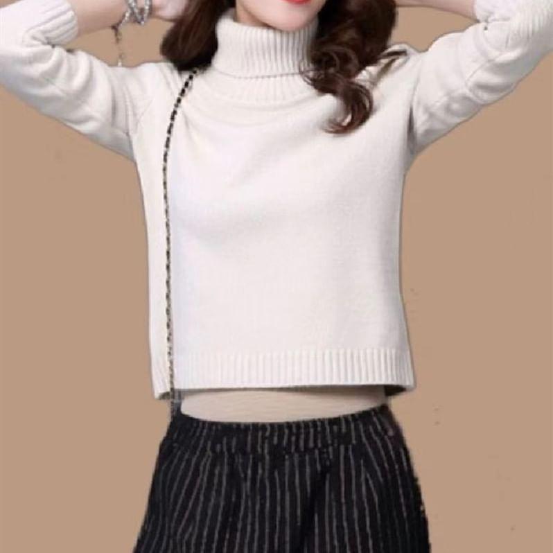 Long-Sleeve Turtleneck Plain Knit Top Product Image