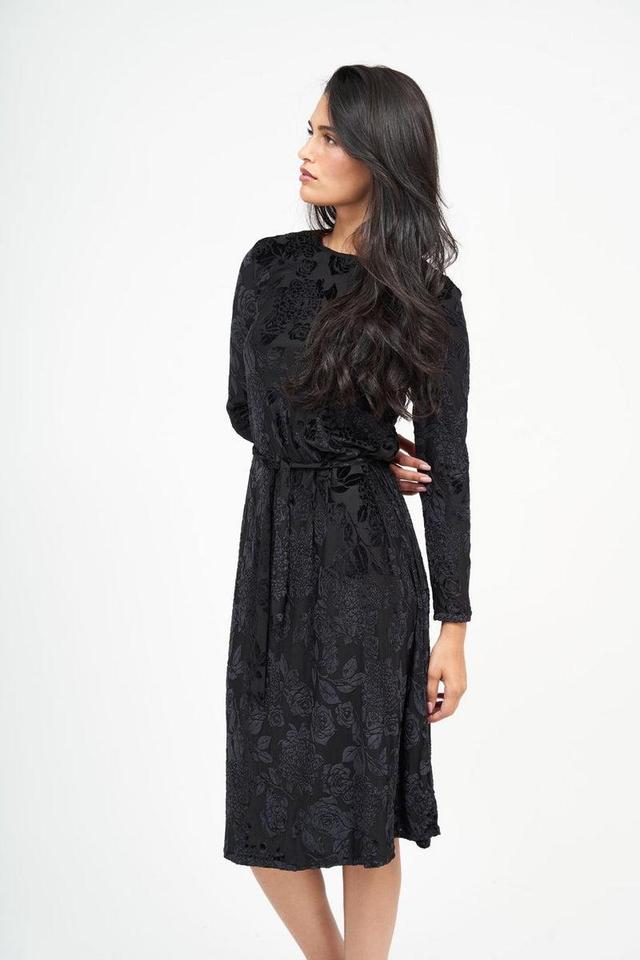 Black Velvet Swing Dress Product Image