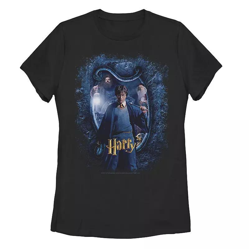 Juniors Harry Potter And The Chamber Of Secrets Harry Portrait Tee, Girls Product Image