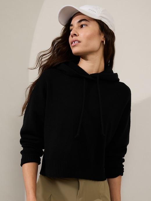 Alpine Cropped Hoodie Sweater Product Image