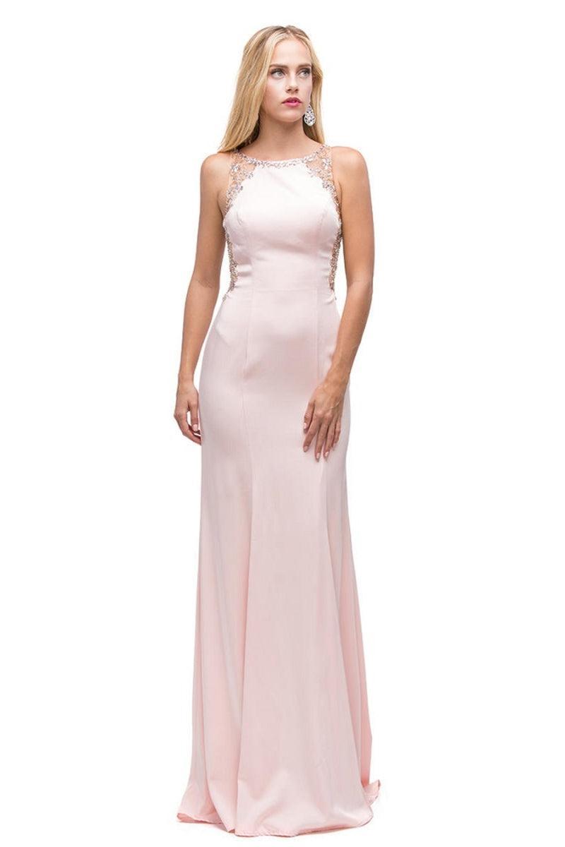 Blush Fit & Flare Floral Embellished Long Formal Dress Product Image