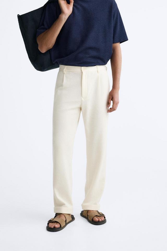 TEXTURED PLEATED PANTS Product Image