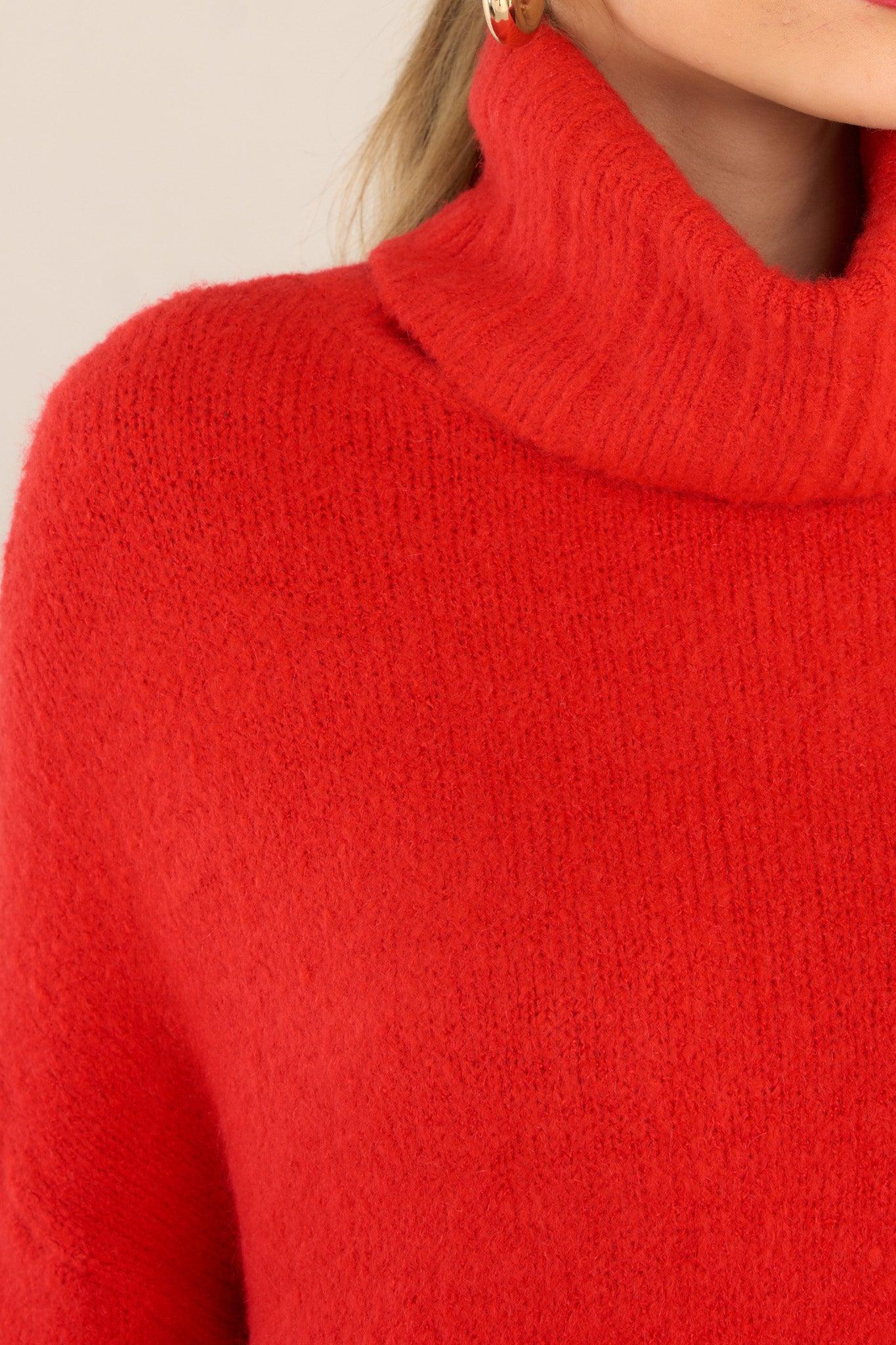 Fable Say Anything Red Turtleneck Sweater Product Image