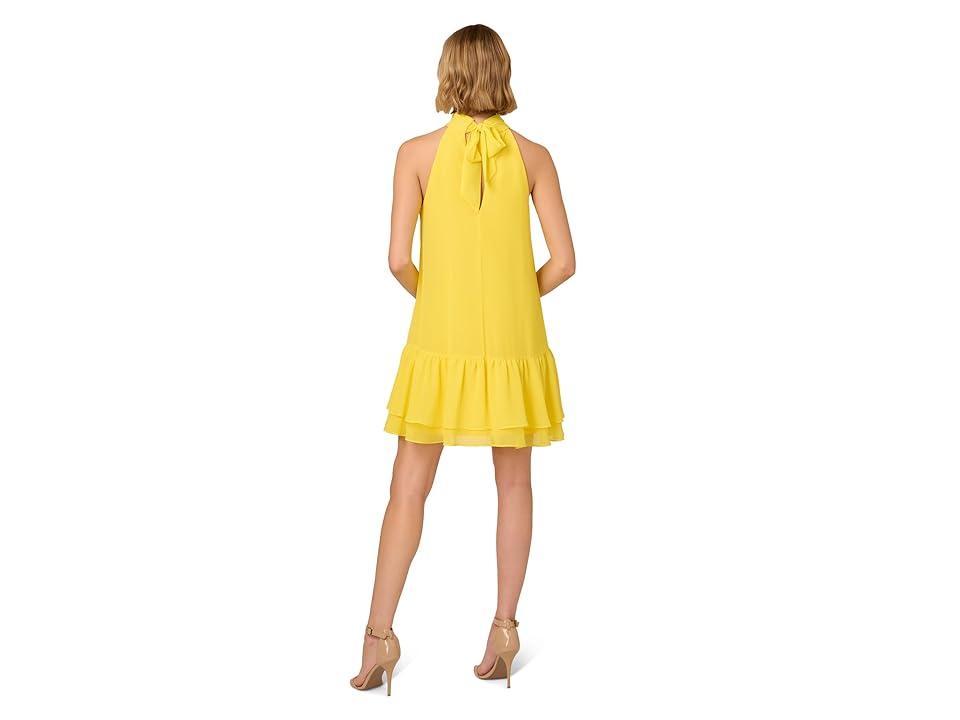 Adrianna Papell Chiffon Trapeze Short Dress (Hyper ) Women's Dress Product Image