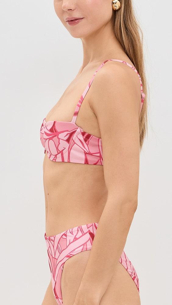 Peixoto Portia Bikini Top | Shopbop Product Image