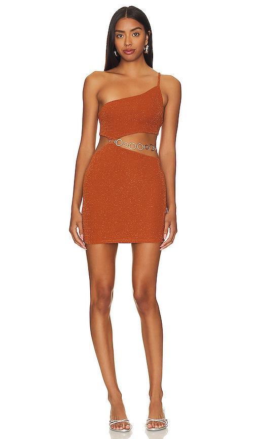 Kiana Mini Dress Product Image