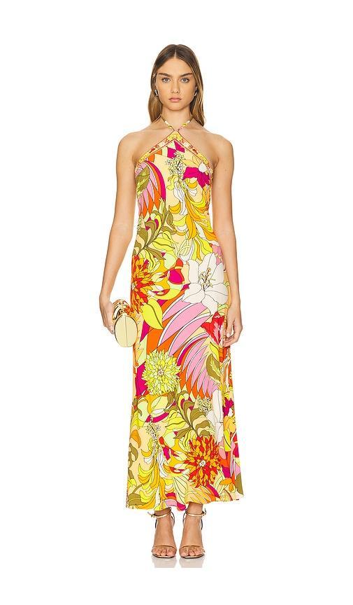 Long Halter Dress Product Image