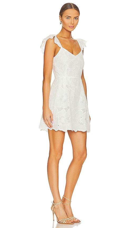 Steve Madden Womens Sierra Eyelet Scalloped Dress Product Image