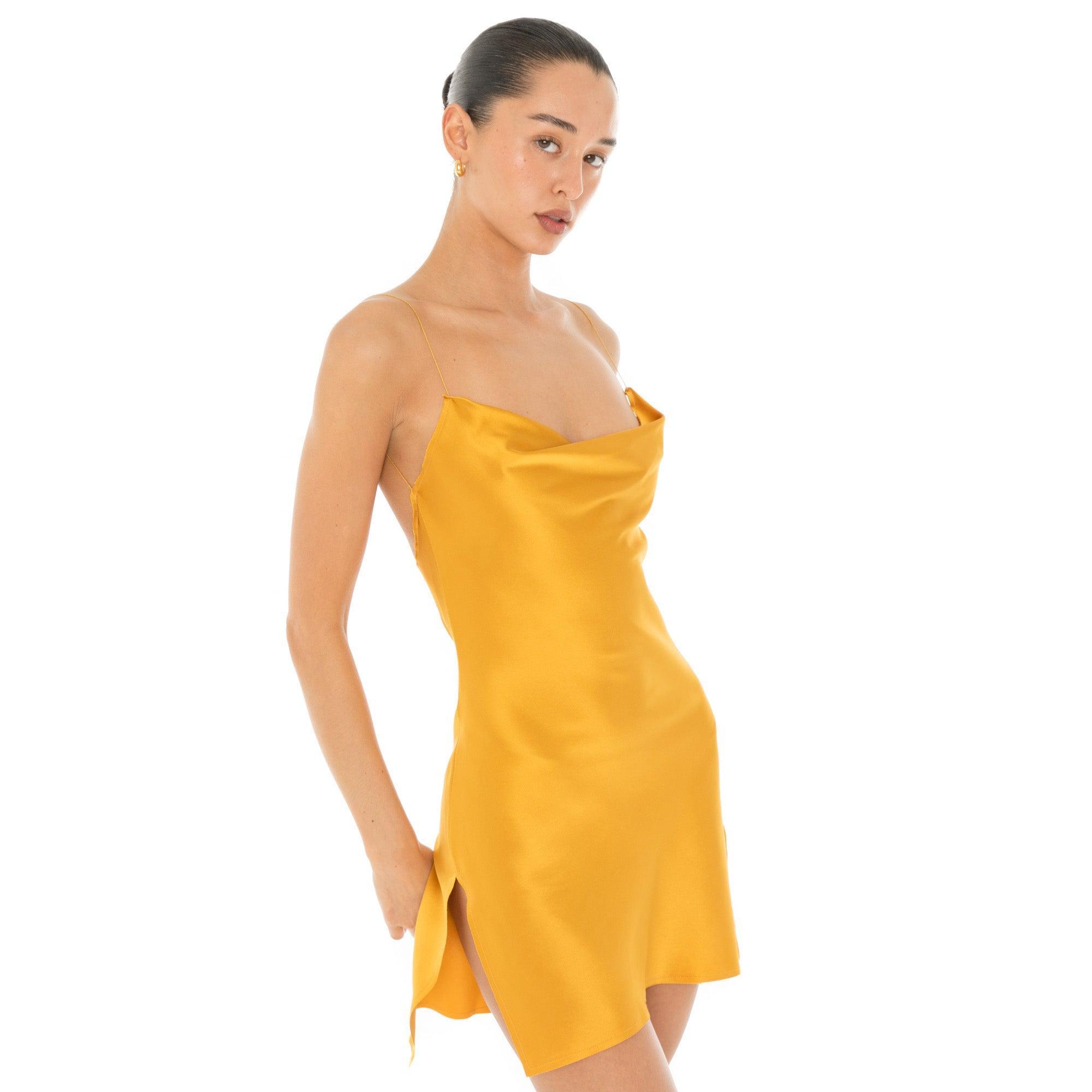 Nique Mini Dress Product Image