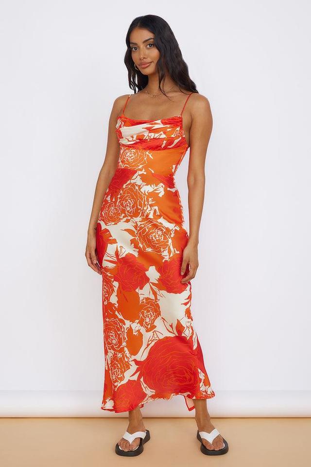 Fresh Blossom Maxi Dress Orange Product Image