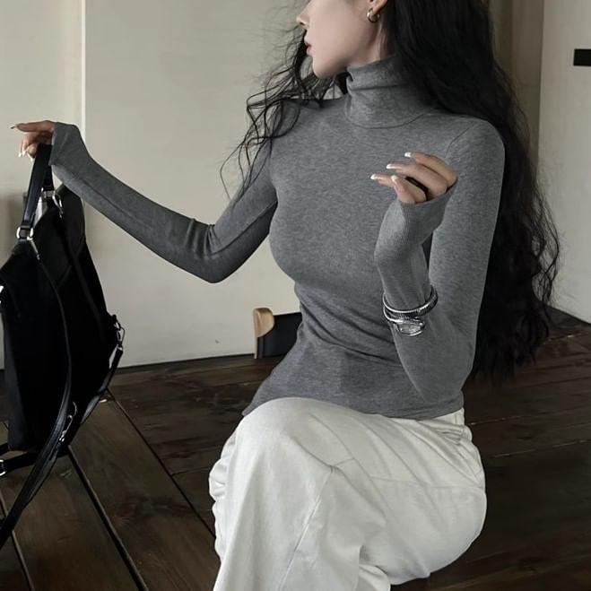 Long Sleeve Turtleneck Plain Top Product Image