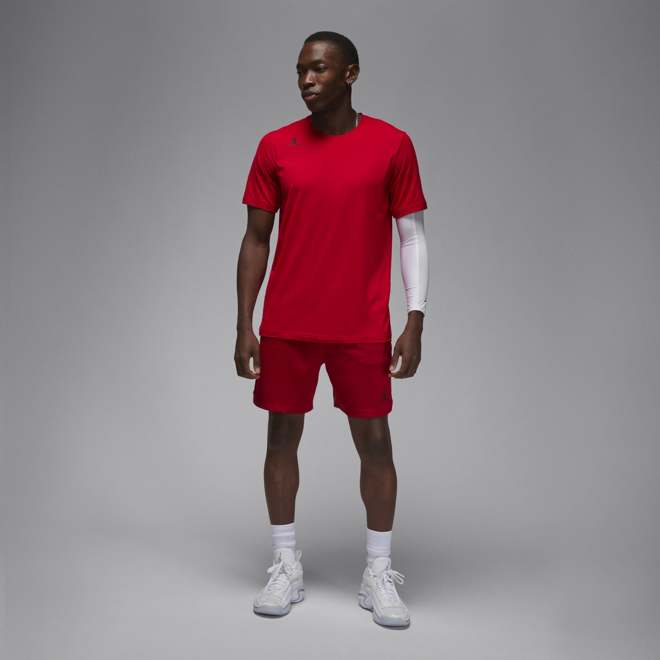 Men's Jordan Dri-FIT Sport Mesh Shorts Product Image