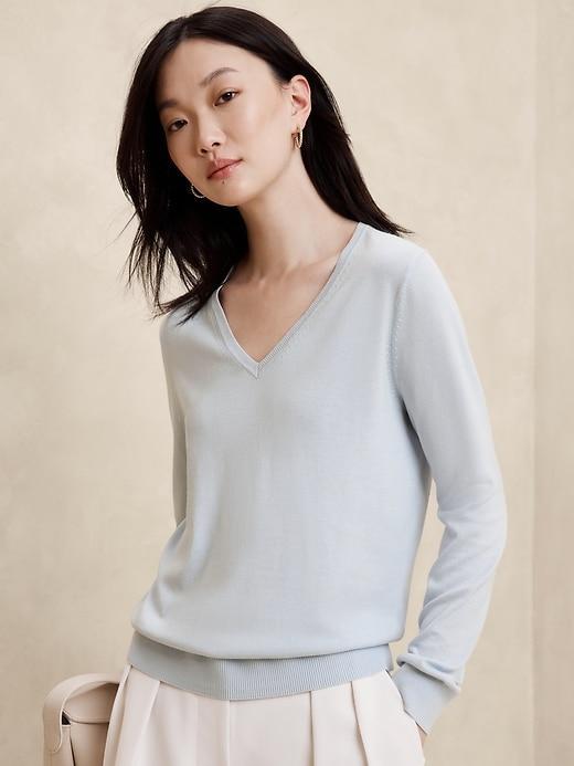 Forever V-Neck Sweater Product Image