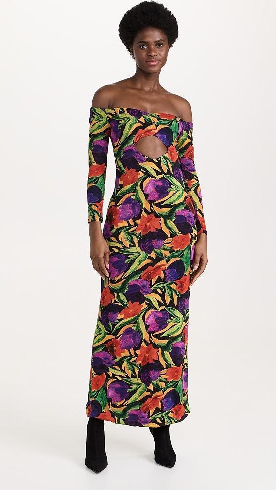 Dur Doux Maxi Floral Diamond Cutout Dress | Shopbop Product Image