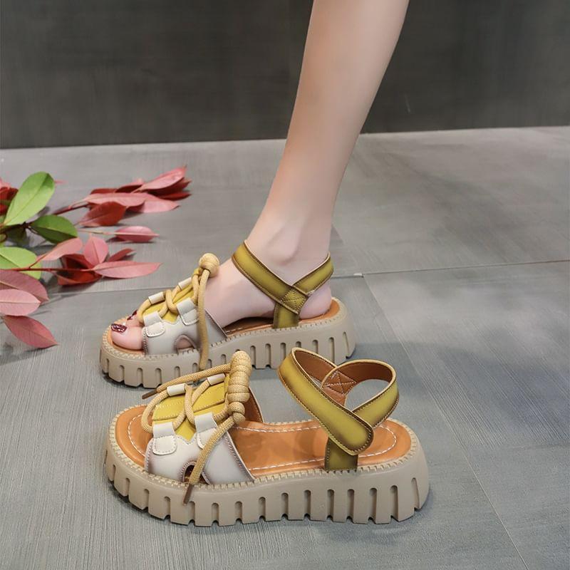 Platform Color Block Sandals Product Image