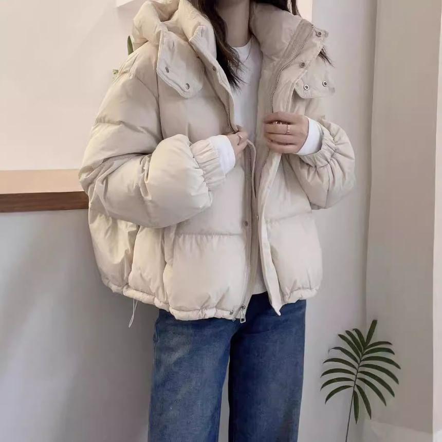 High Neck Zip-Up Puffer Jacket Product Image