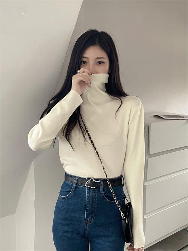 Long-Sleeve Turtleneck Plain Knit Top Product Image