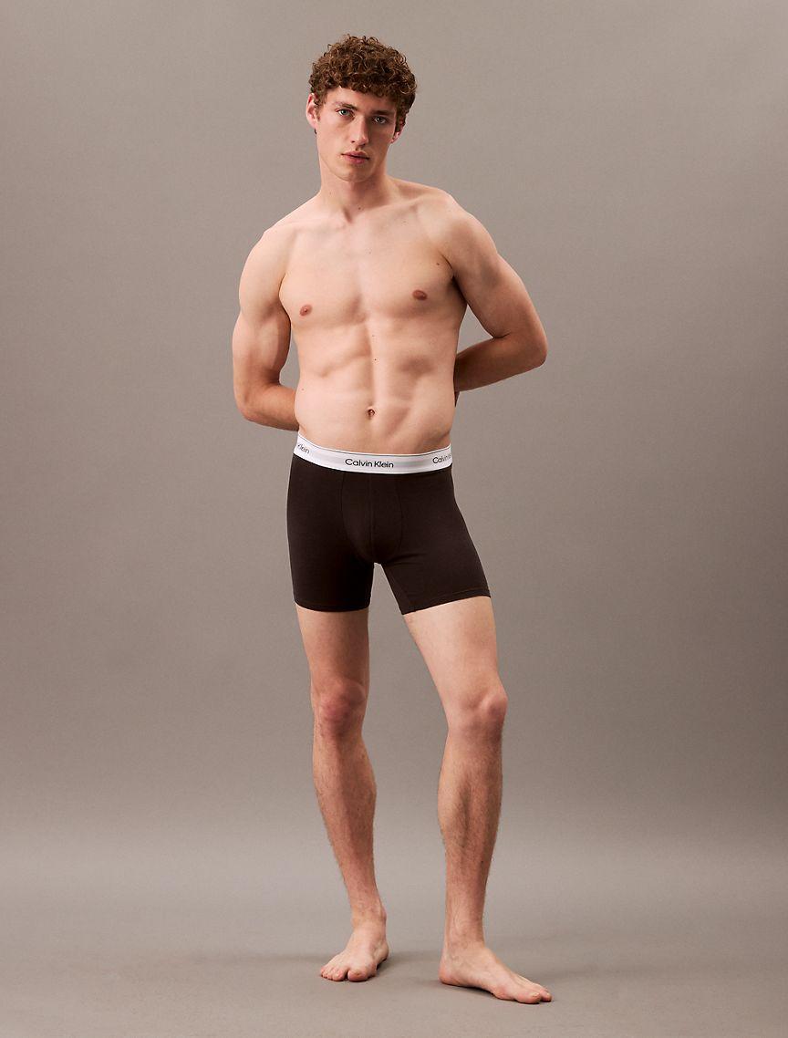 Modern Cotton Stretch 3-Pack Boxer Brief Product Image