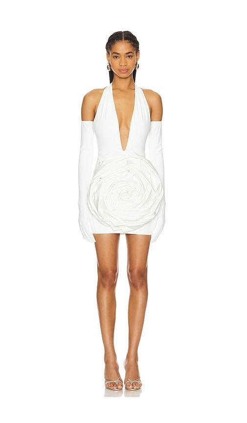 Camellia Blanc Rose Mini Dress Product Image