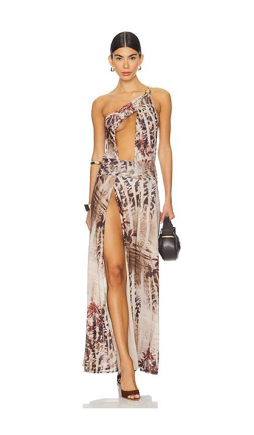 Leopard Maxi Ruffle Dress Product Image