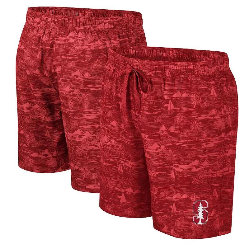 Mens Colosseum Cardinal Arkansas Razorbacks Ozark Swim Shorts Product Image