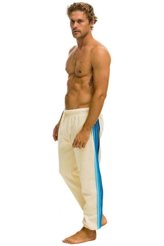 5 STRIPE SWEATPANTS - VINTAGE WHITE // BLUE Male Product Image