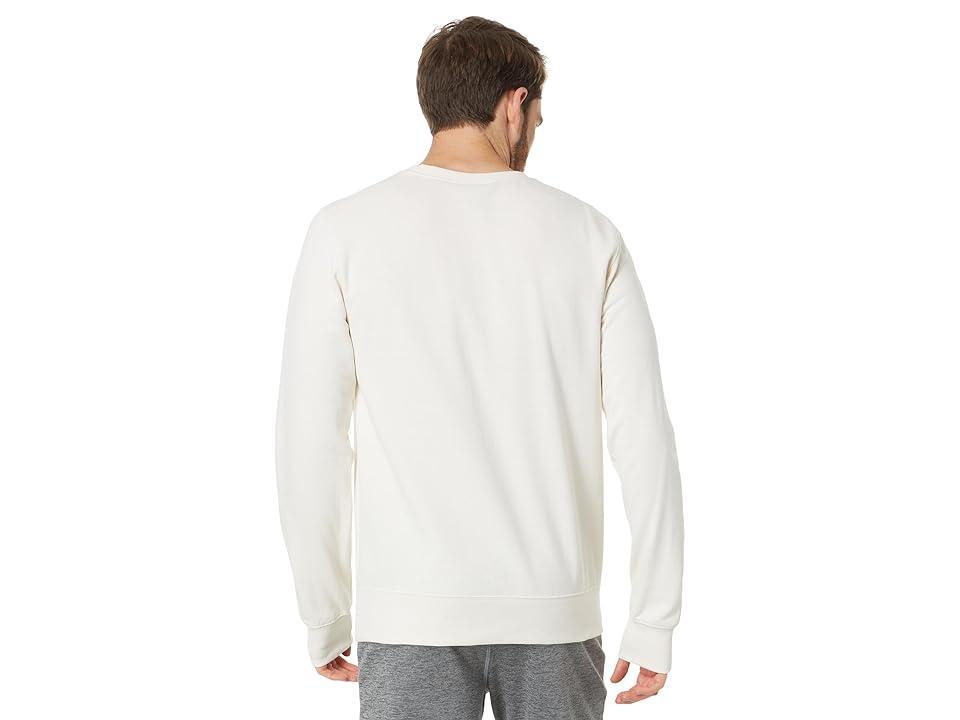 The North Face Heritage Patch Crew (Gardenia ) Men's Clothing Product Image