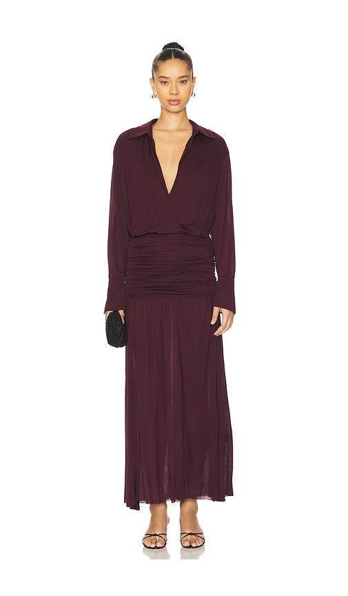 Farah Maxi Dress Product Image