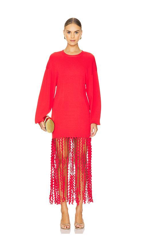 Wallis Knit Fringe Dress Product Image