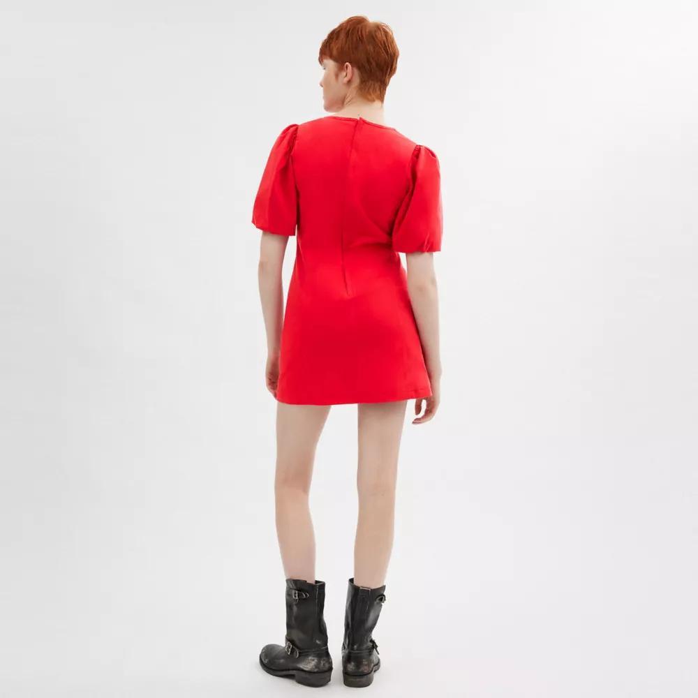 Puff Sleeve Dress Product Image