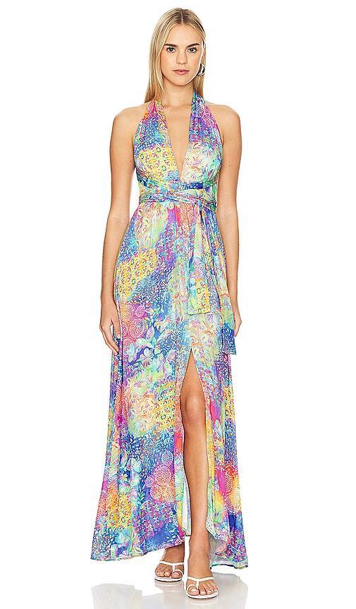 Deco Gardens Convertible Maxi Dress Product Image