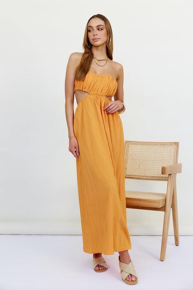 Delphina Maxi Dress Orange Product Image