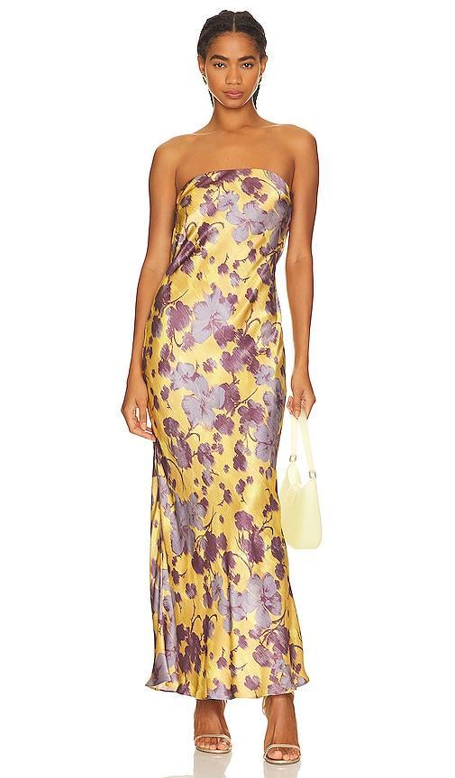 Moondance Strapless Dress Product Image